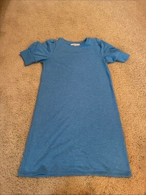 Loft Simple Blue Short-Sleeve T-Shirt Dress (size small)